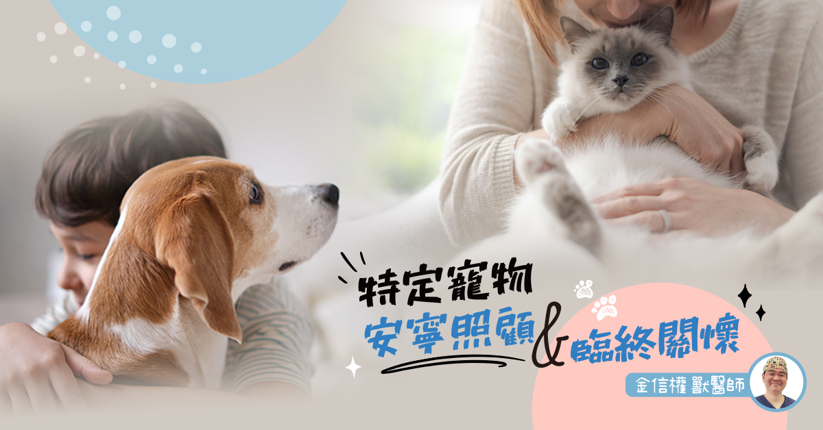 【課程預約】特定寵物安寧照顧與臨終關懷