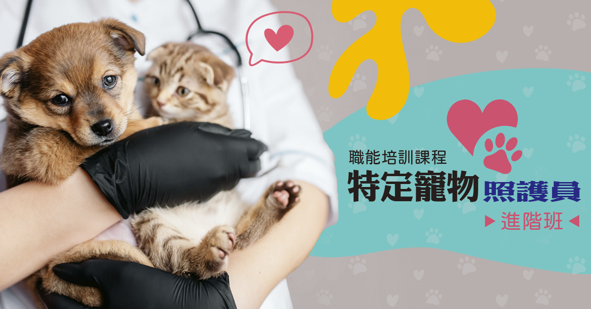 特定寵物照護員職能培訓班-進階-台北班
