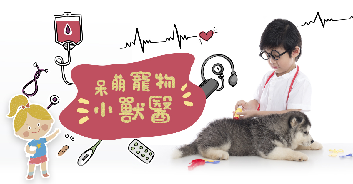 呆萌寵物小獸醫【2025夏令營】