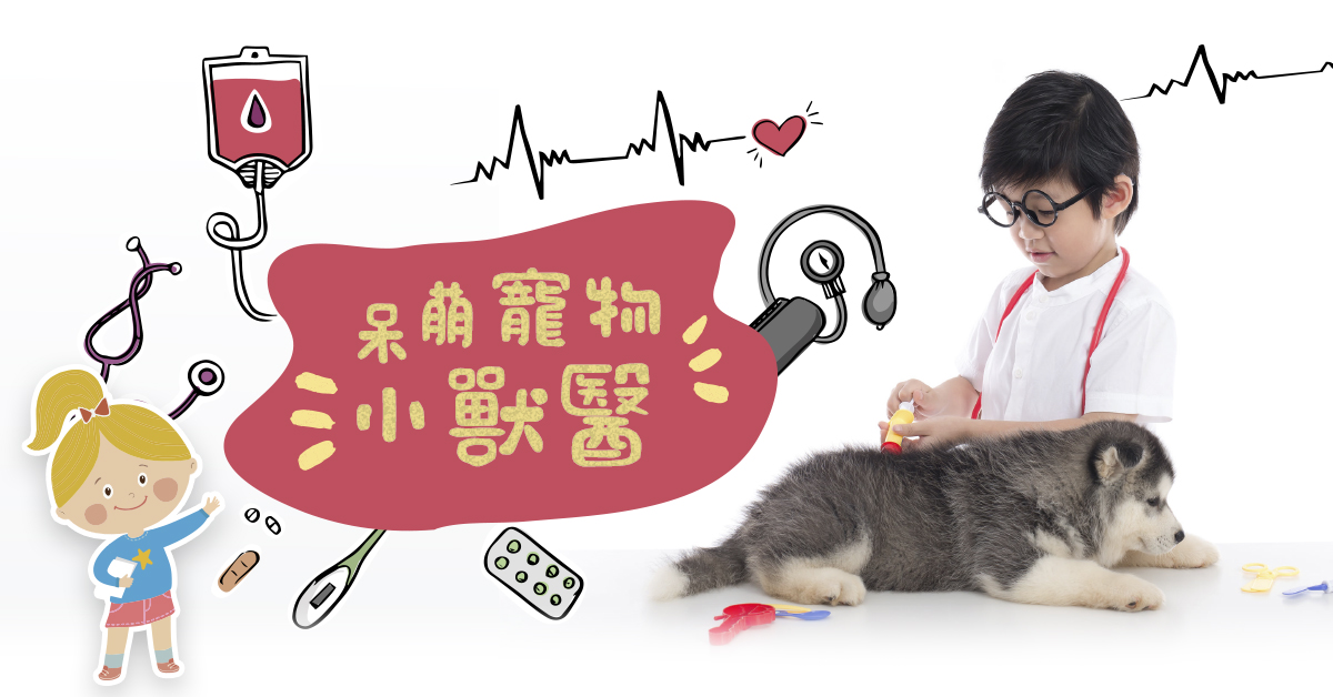 呆萌寵物小獸醫【2026冬令營】