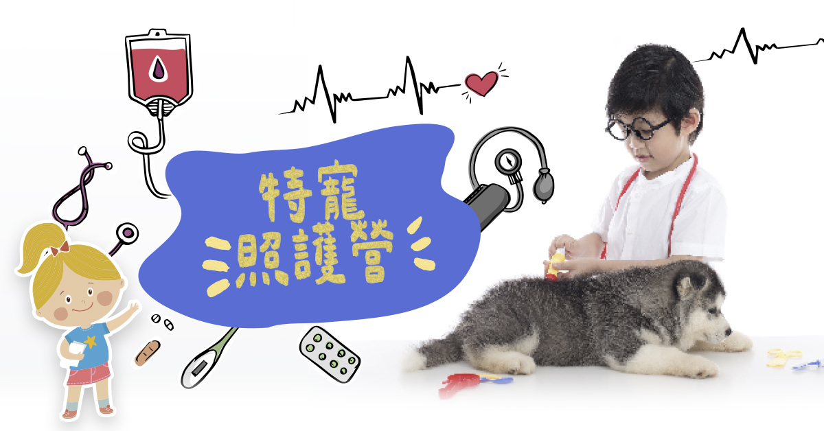 呆萌寵物小獸醫【2026夏令營】