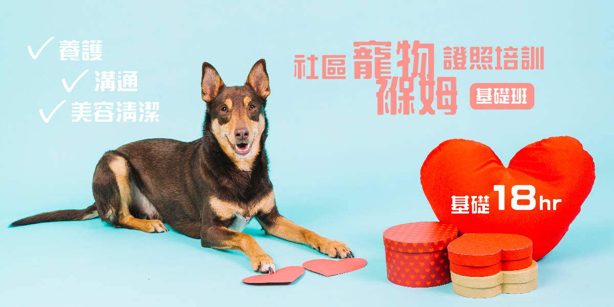 社區寵物褓姆證照培訓【基礎班】養護X溝通X美容清潔 社區寵物褓姆證照培訓【基礎班】養護X溝通X美容清潔