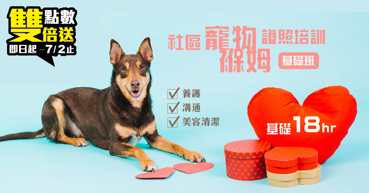社區寵物褓姆證照培訓【基礎班】養護X溝通X美容清潔 社區寵物褓姆證照培訓【基礎班】養護X溝通X美容清潔