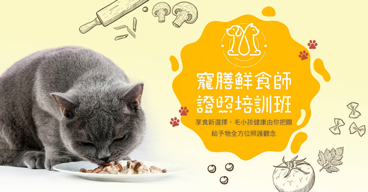 寵膳鮮食師證照培訓班【平日白天班】 寵膳鮮食師證照培訓班【平日白天班】