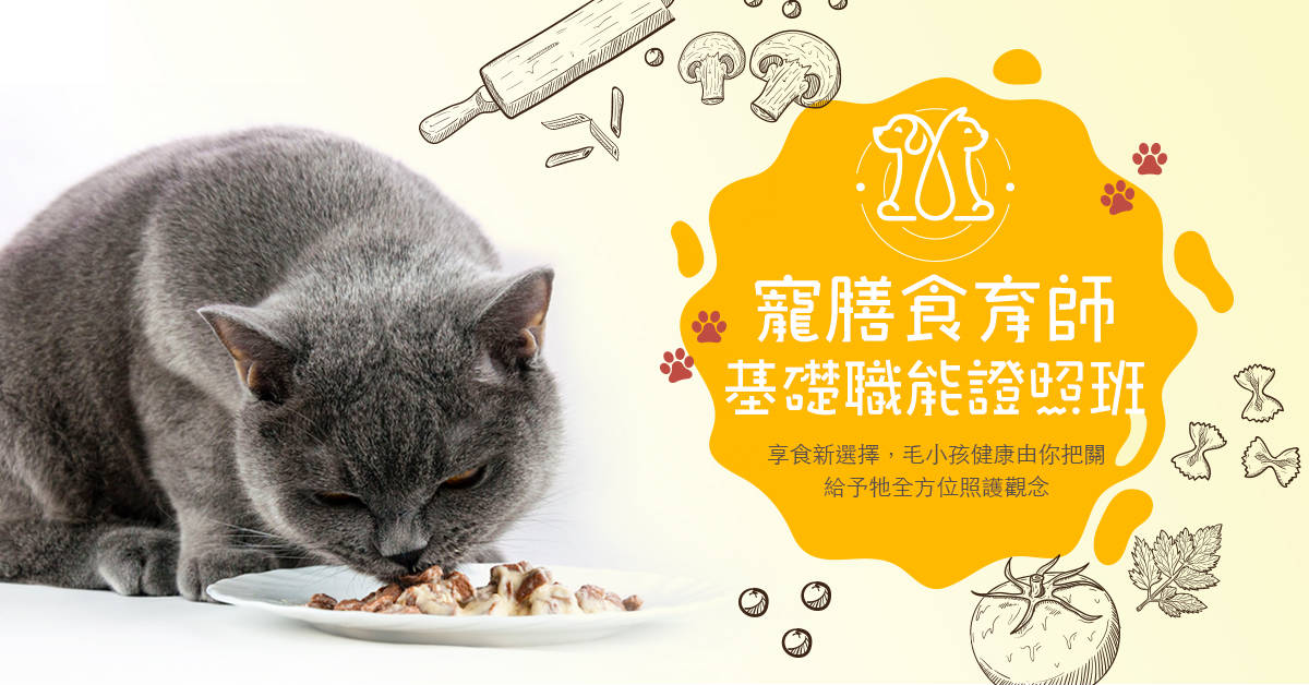 寵膳食育師基礎職能證照班