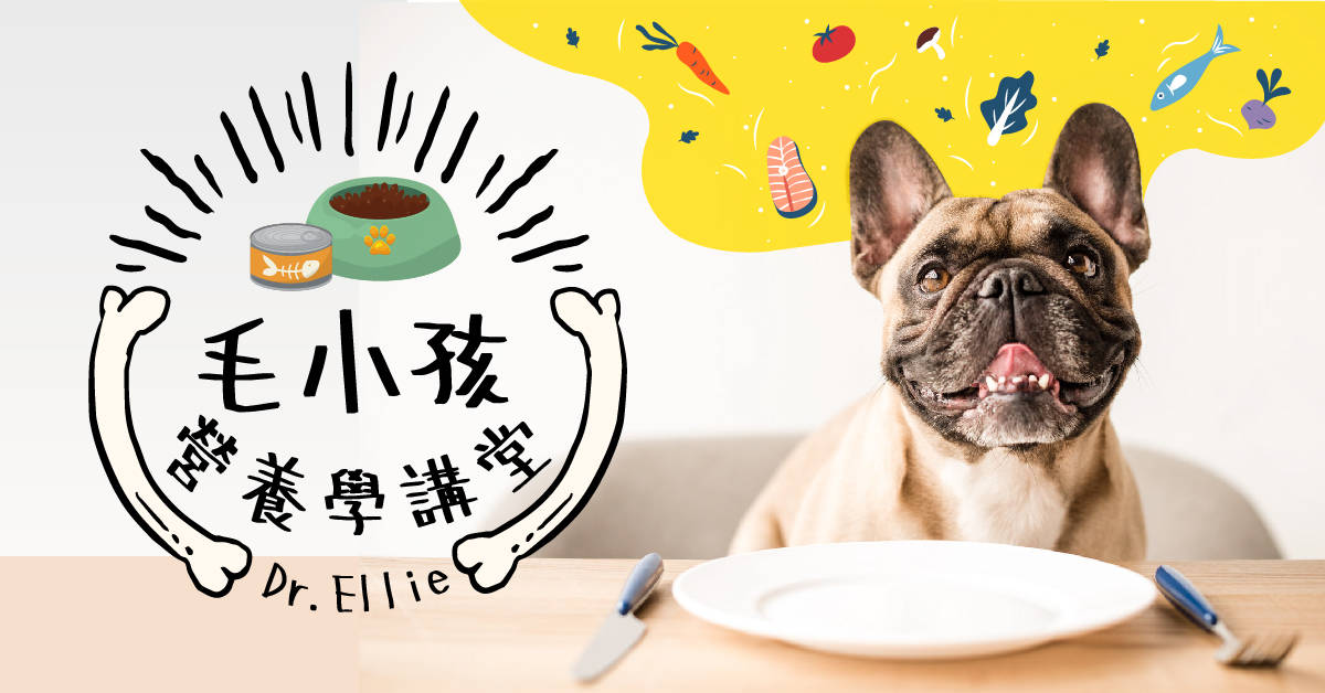 Dr. Ellie的毛小孩營養學講堂-【額滿停招】 Dr. Ellie的毛小孩營養學講堂-【額滿停招】