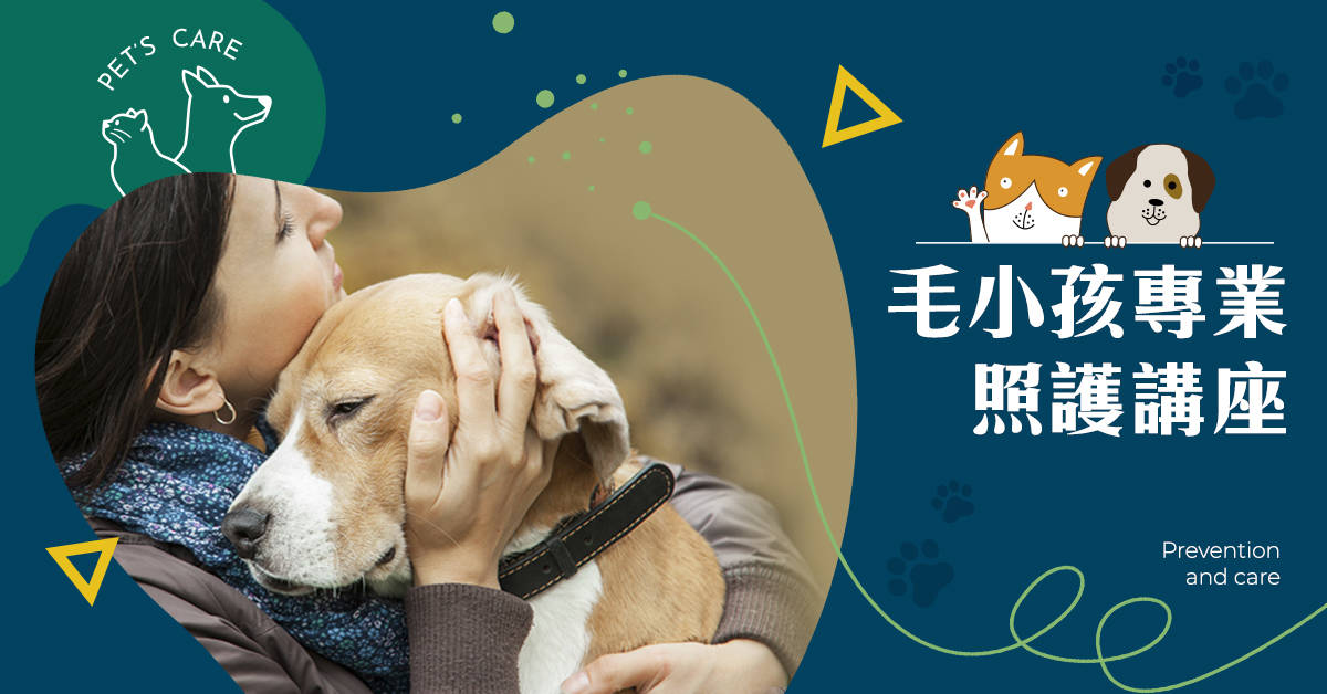 毛小孩專業照護講座:老年狗狗的照護【確定開班】 毛小孩專業照護講座:老年狗狗的照護【確定開班】