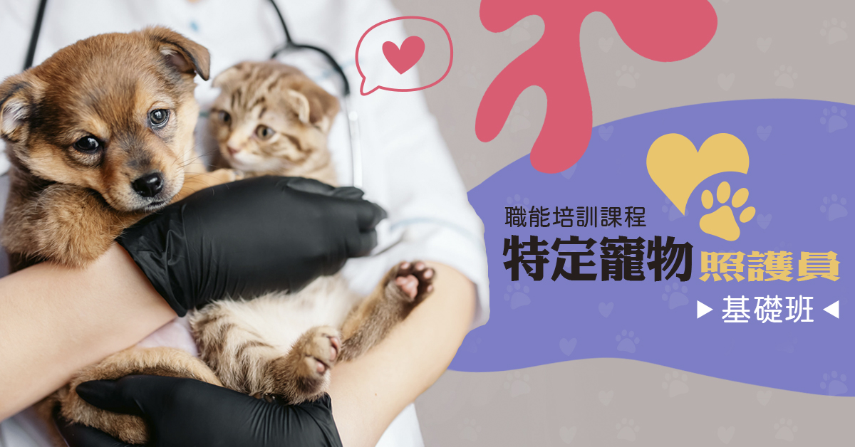 特定寵物照護員職能培訓班-基礎-台北班