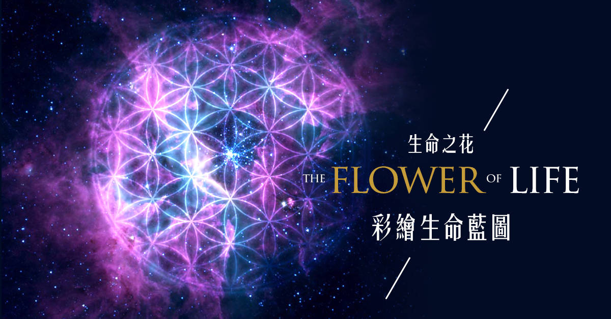生命之花 / 彩繪生命藍圖 生命之花 / 彩繪生命藍圖