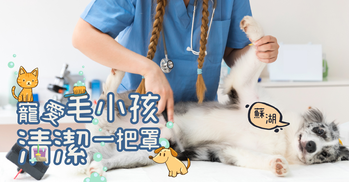 寵愛毛小孩清潔一把罩【固體皂+液體皂+噴霧】 寵愛毛小孩清潔一把罩【固體皂+液體皂+噴霧】