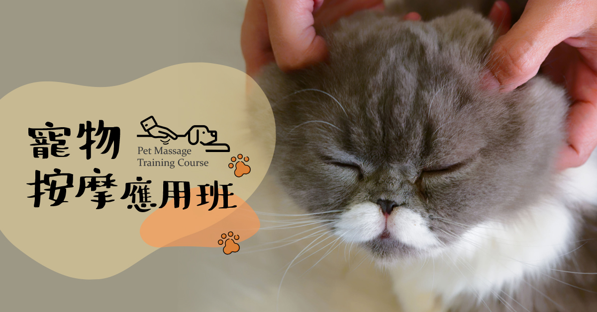 寵物按摩應用班(平日晚上班)