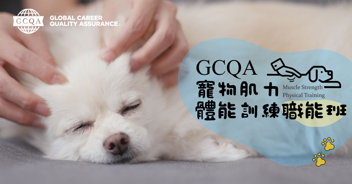 GCQA寵物肌力與體能訓練職能訓練