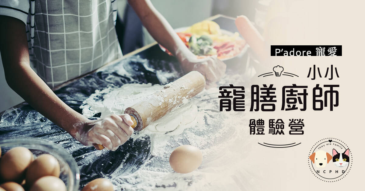 小小寵膳廚師體驗營 小小寵膳廚師體驗營