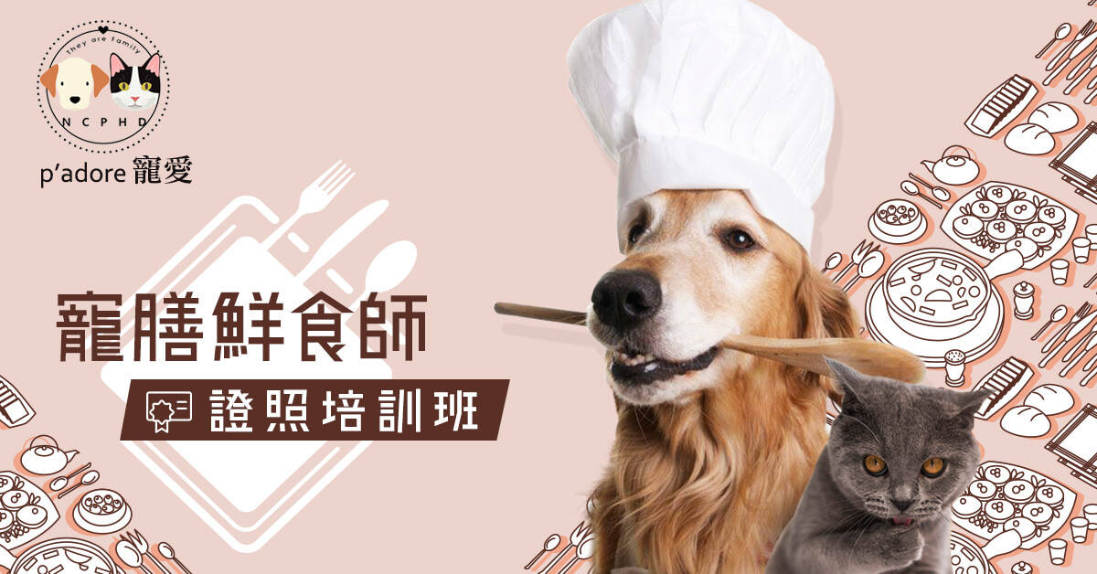 寵膳鮮食師證照培訓班 寵膳鮮食師證照培訓班