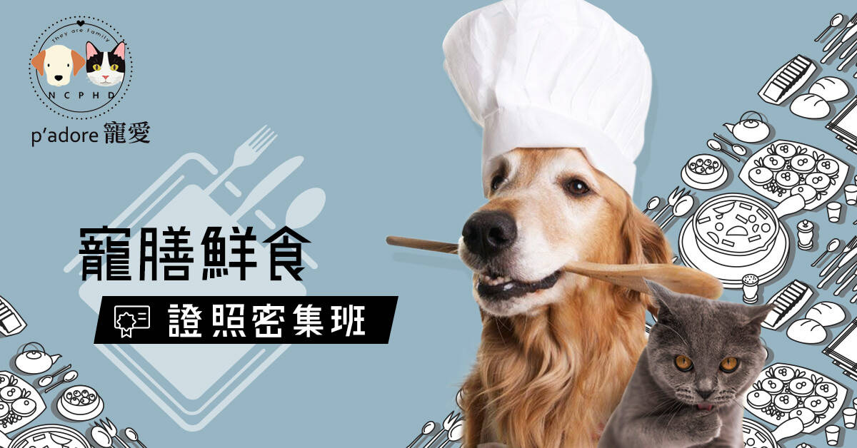 寵膳鮮食師證照培訓【密集班】 寵膳鮮食師證照培訓【密集班】