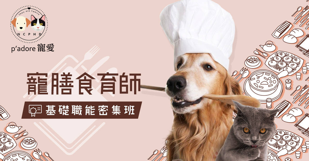 寵膳食育師基礎職能證照【密集班】 寵膳食育師基礎職能證照【密集班】