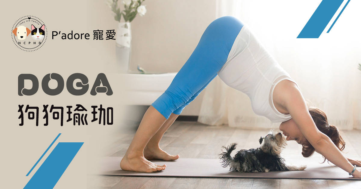 DOGA狗狗瑜珈 DOGA狗狗瑜珈