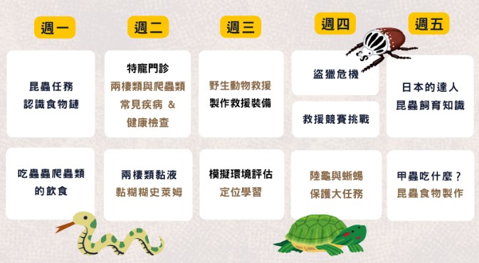 呆萌寵物小獸醫