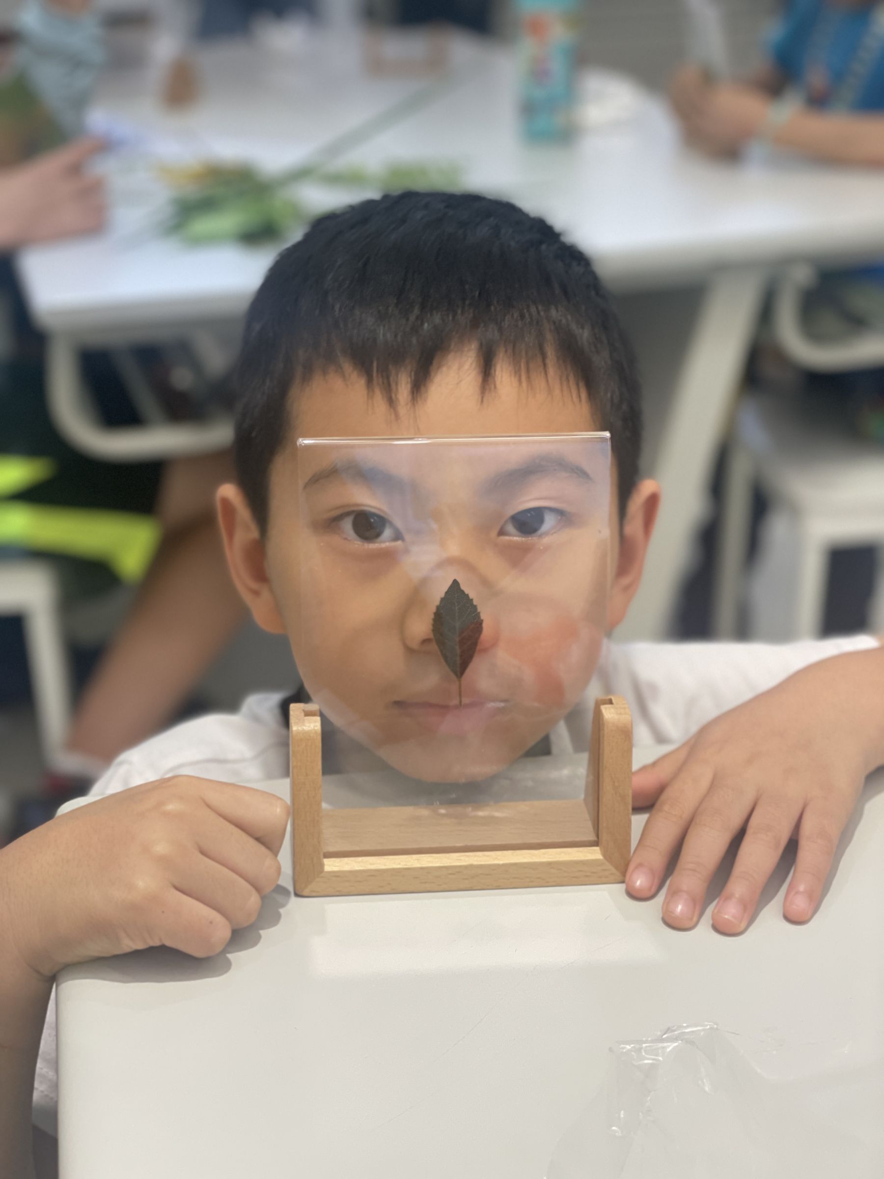 蟲林生態探險